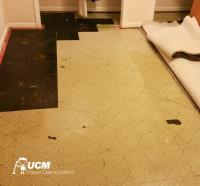 UCM Carpet Cleaning Miami image 12